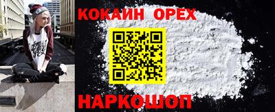 крисы Кунгур