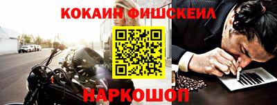 крисы Кунгур