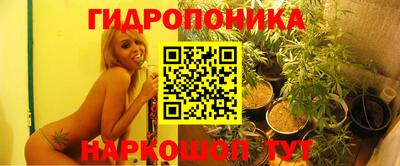 крисы Кунгур