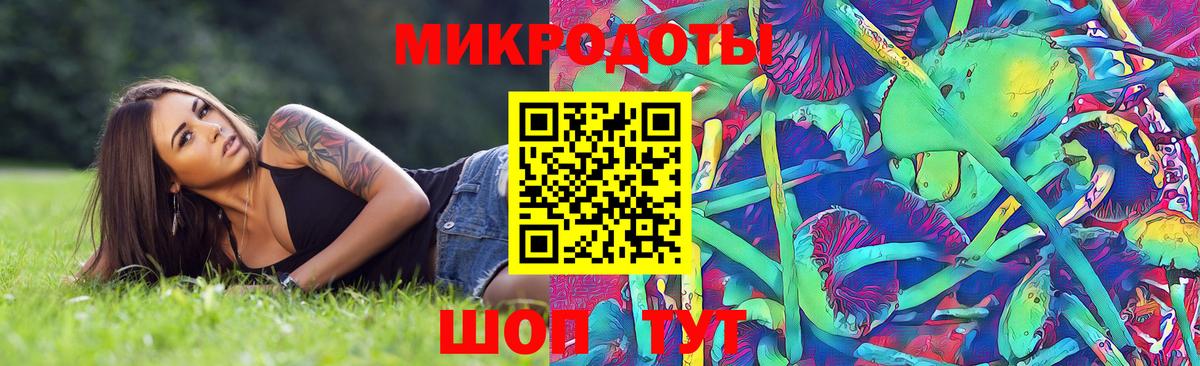 Псилоцибиновые грибы Cubensis Великий Устюг